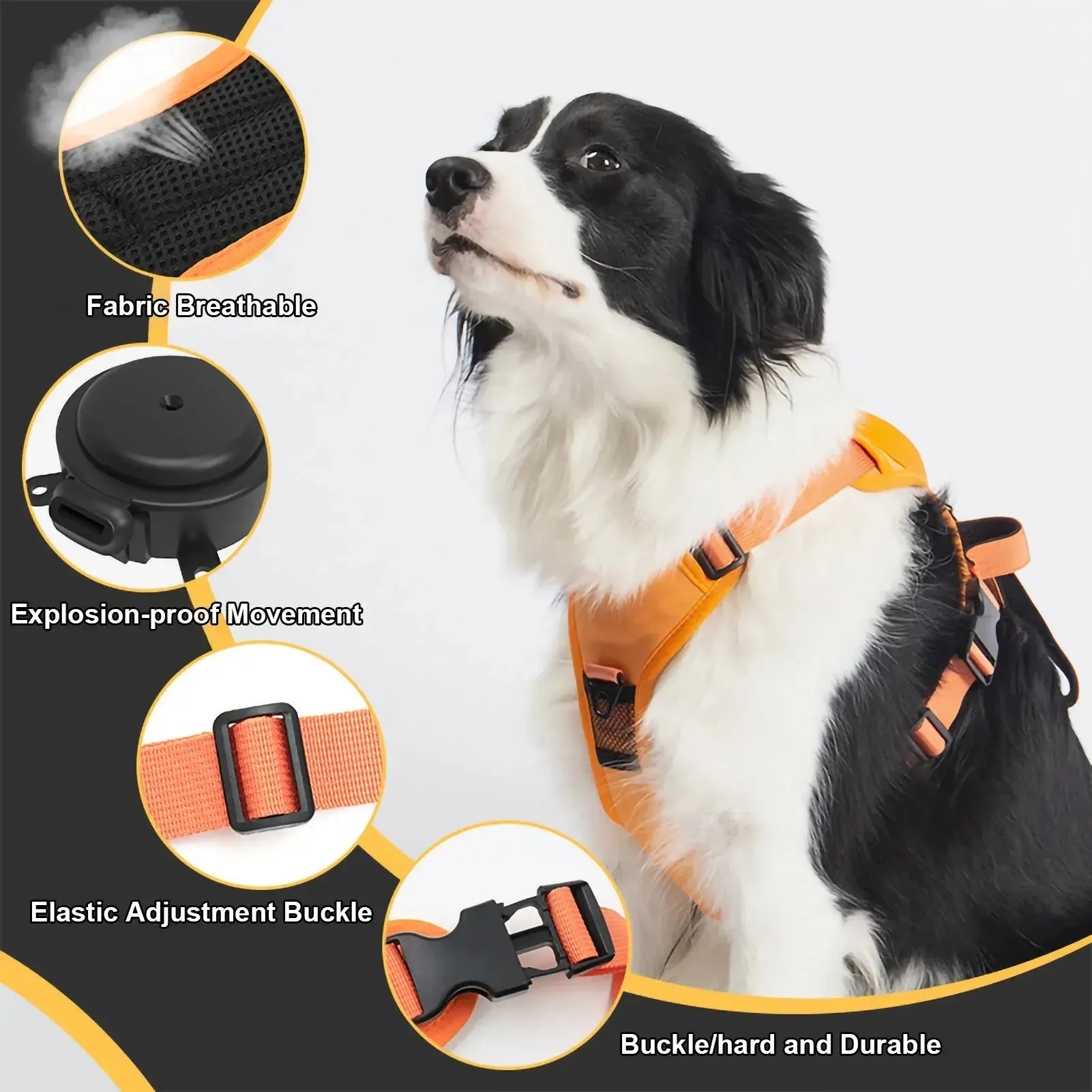 Large Dogs Flexible Retractable Leash