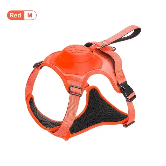 Large Dogs Flexible Retractable Leash