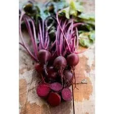 Organic Heirloom Tall Top Early Wonder Beet Seeds